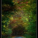 barevná,