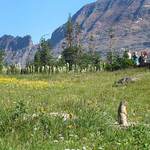 A mě si nikdo nevšimne:(