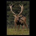 Jó však už zdrhám.