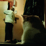 Někdo je za dveřmi...