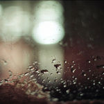 Jak nakupují muži II...