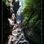 Cesta do pravěku II.