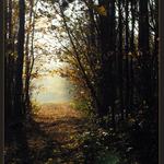 ... podzim na Vysočině