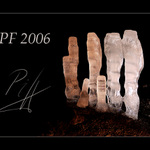 PF 2006