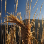 abych nezapomněl...