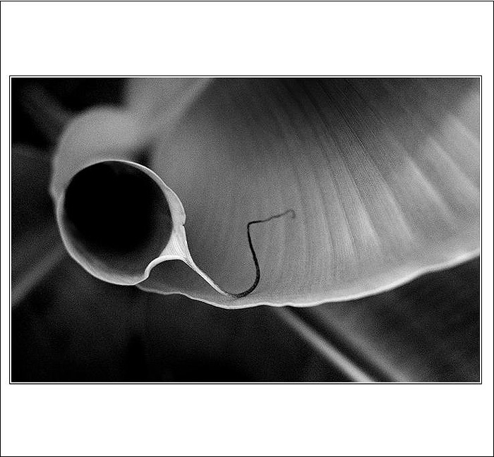 .: II. :.