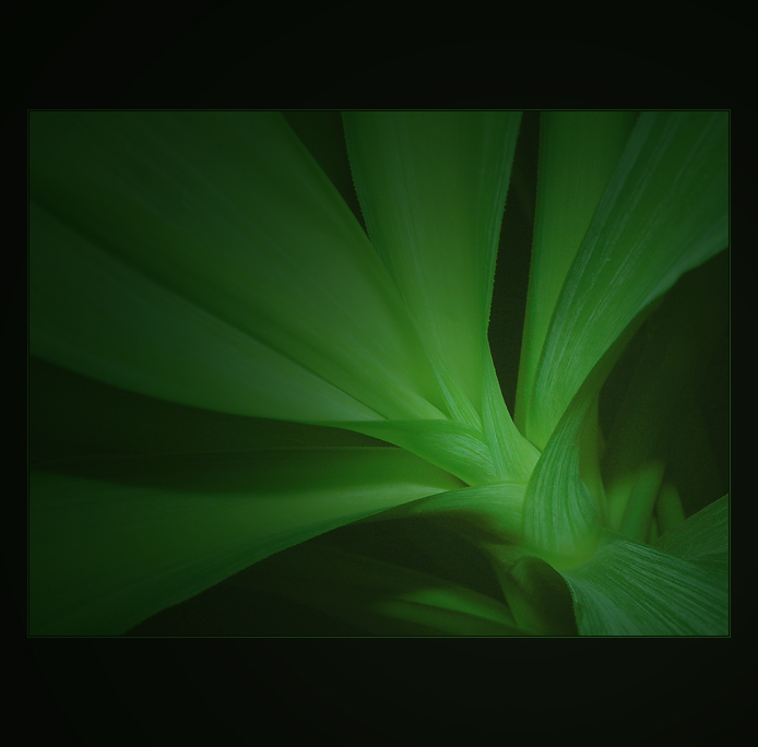  - greeeeen -