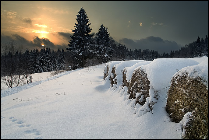 NA LIPNE