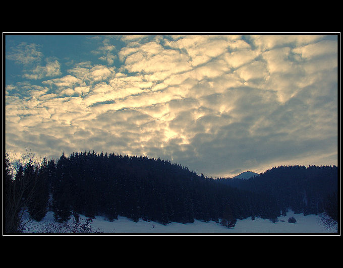 *****Lazisko.I*****