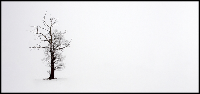 No name..