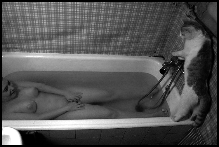 Vanový kočičí glamour.