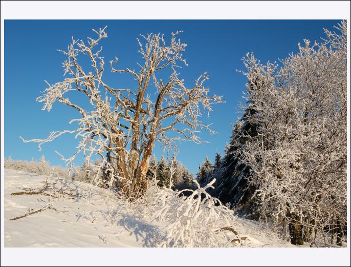 * Horní Světlá I.*