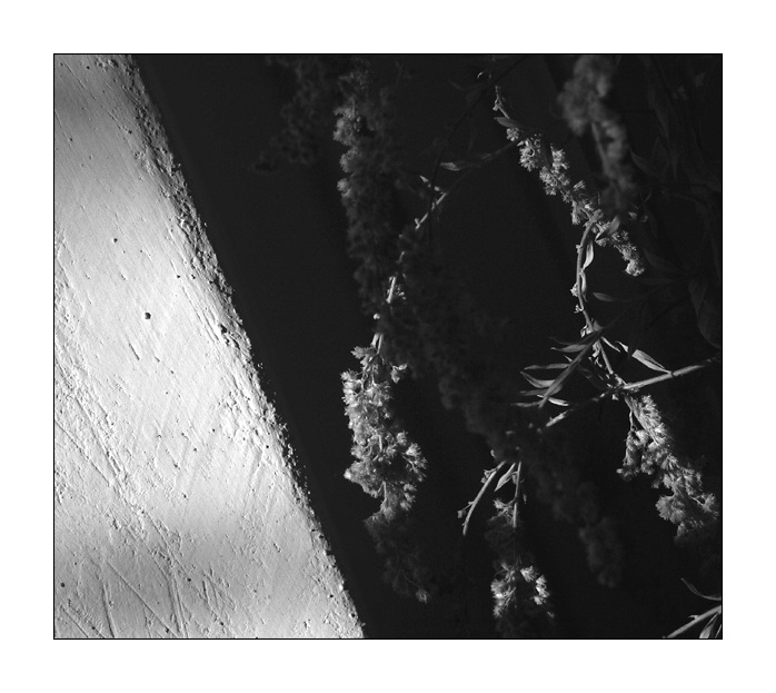 Vyhřívám se na slunci