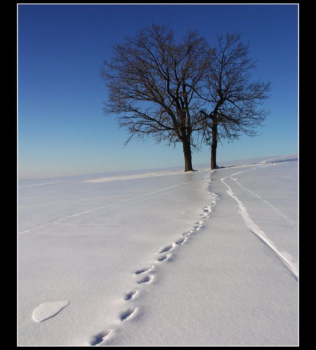 Tajemná stopa v Karpatech