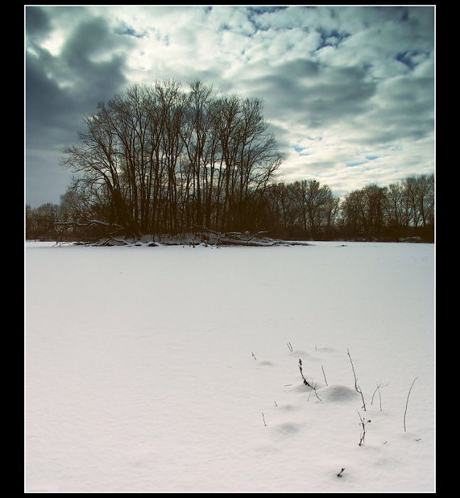 Milotický rybník I.