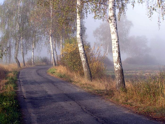 podzimní ráno