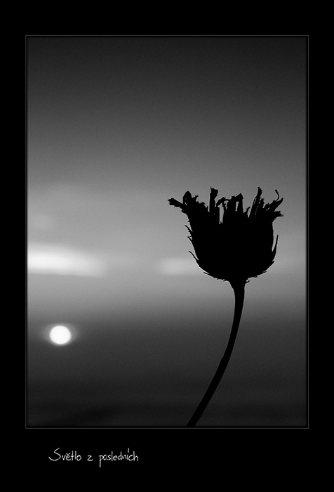 SVĚTLO Z POSLEDNÍCH