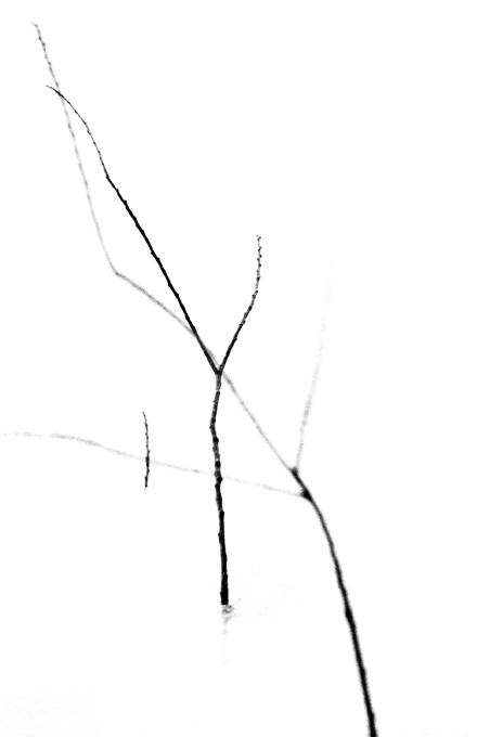 _