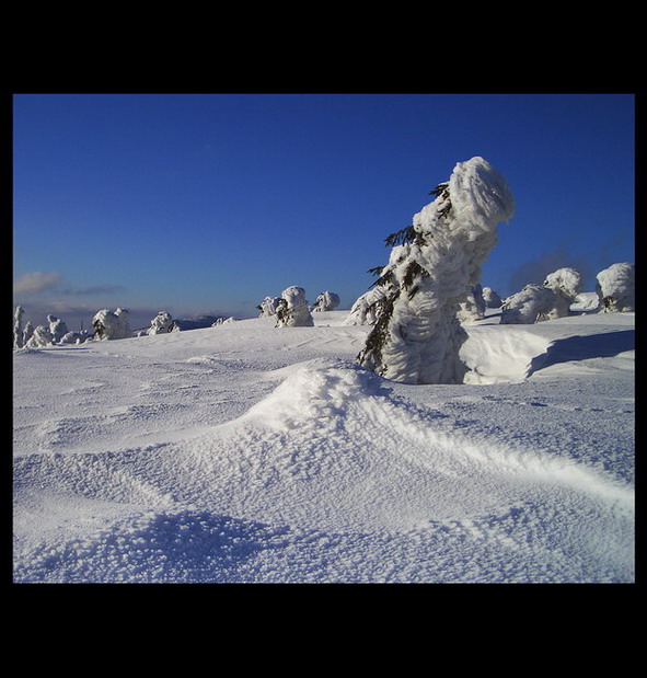 * sněhová housenka *