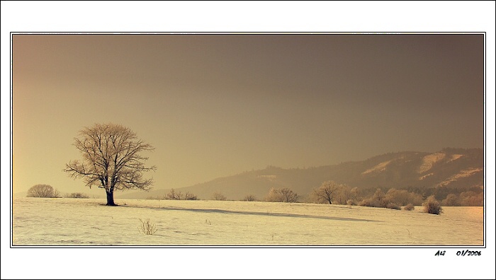 Spiaca krajina