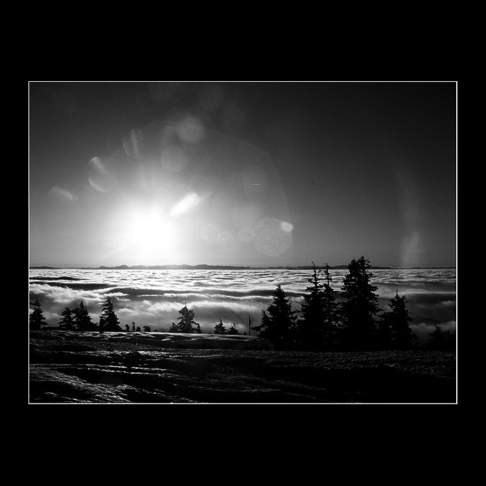 .: Inverzofka Lysofka V. :.