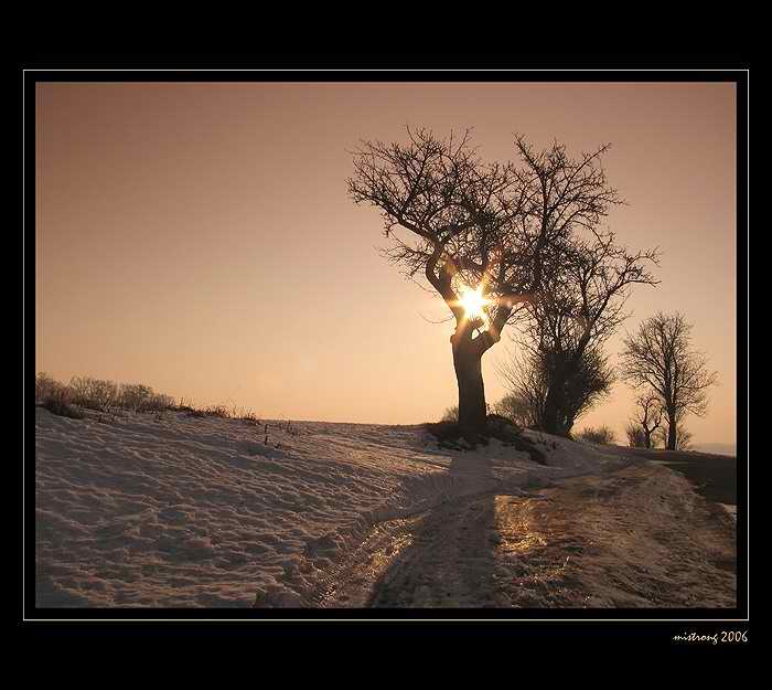 Slunce svit marně útočí..