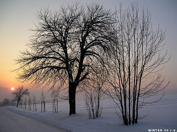 3nec Winter 1