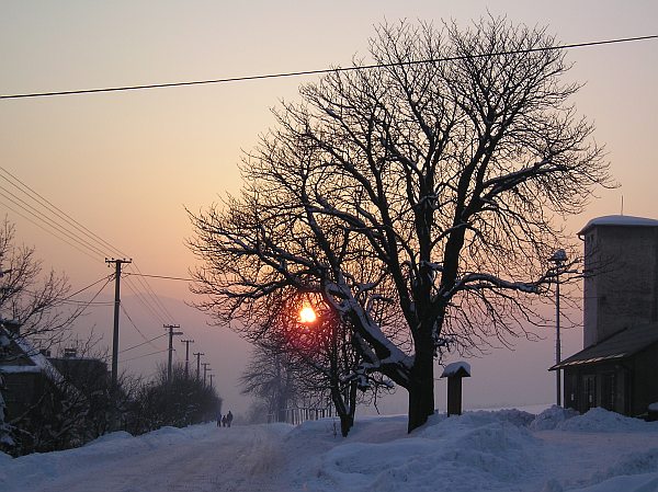 3nec Winter 2