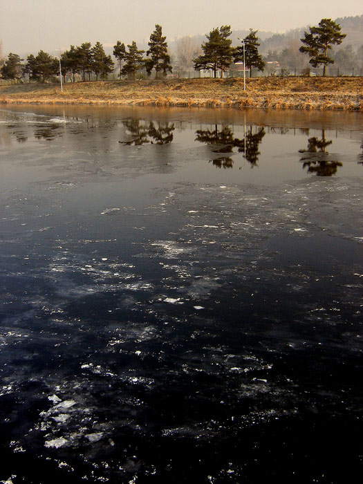 .:Město vs Příroda:.