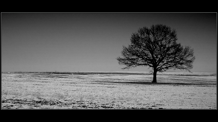 .:Opět jeden samotář:.