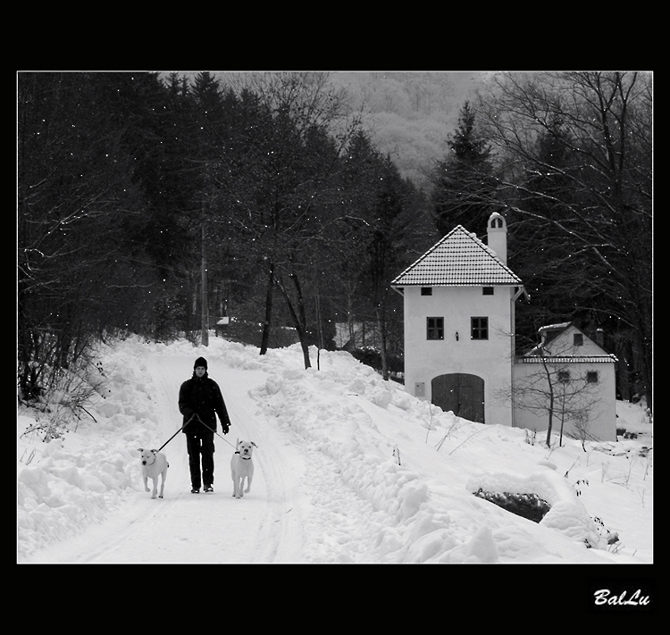 ...biele na bielom...