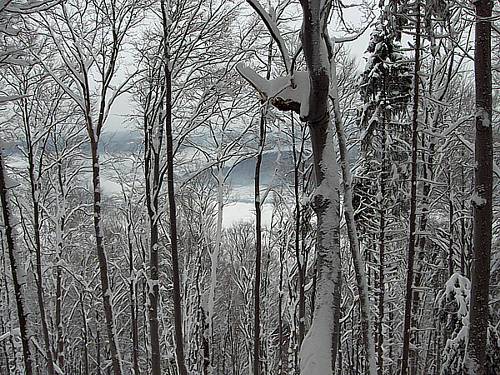Pohľad z vrchu Manín na jazero.