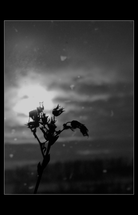 __deprese__