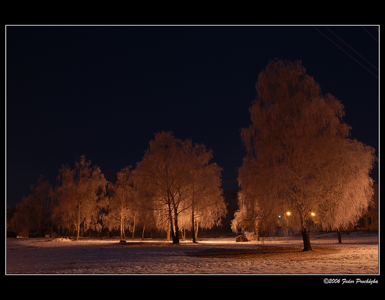 Zimný park