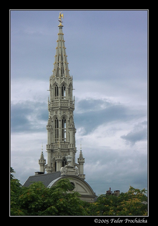 Veža