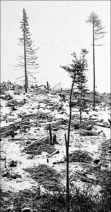 Krehká III.
