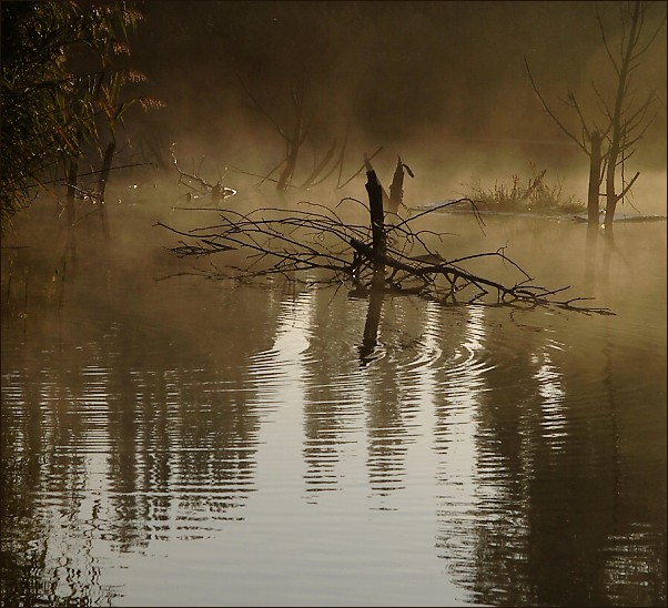 Mlhavé když je ráno...