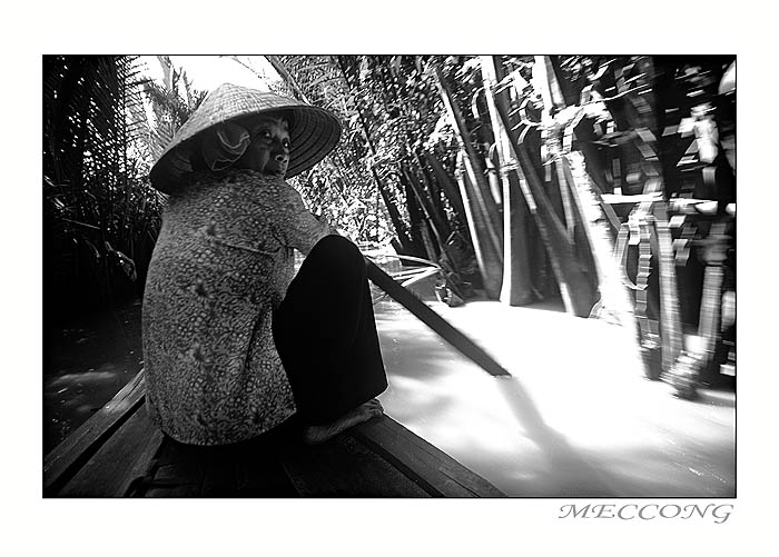 :::  Meccong   :::