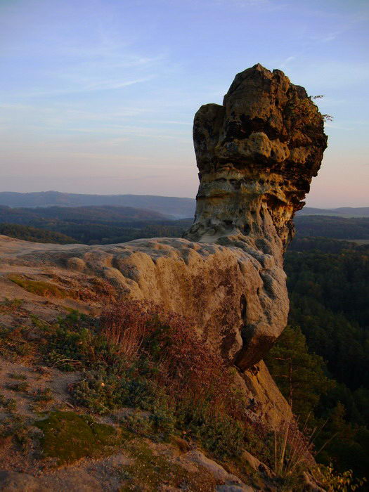 čáp