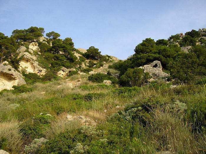 Monte Saračeno