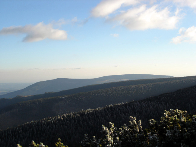 Horizonty