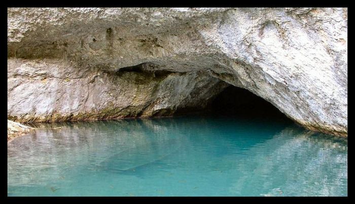 Nedojel