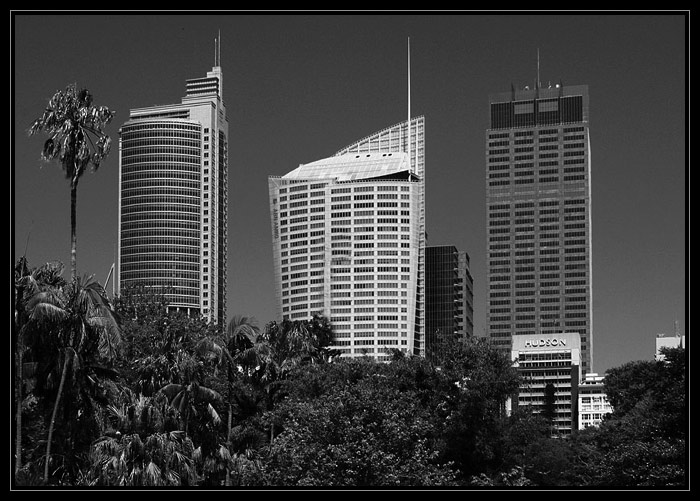 Sydney v cernobile