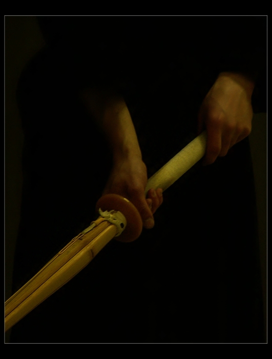Ruce šermíře