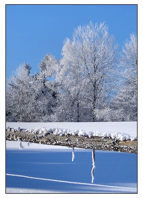 krajinka na Prachaticku