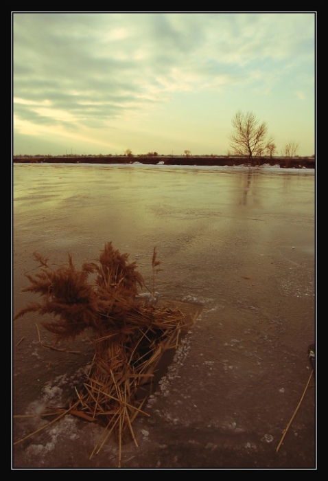 Na topole nad jezem ... (I)