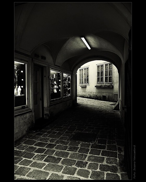 Na potulkách starou Viedňou