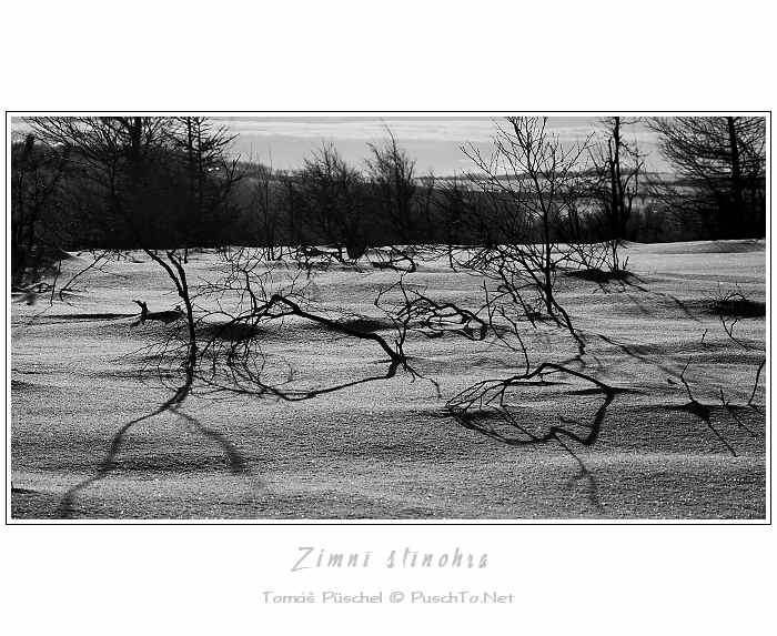 Zimní stínohra