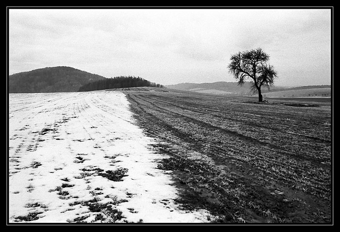 Krajina u Neveklova