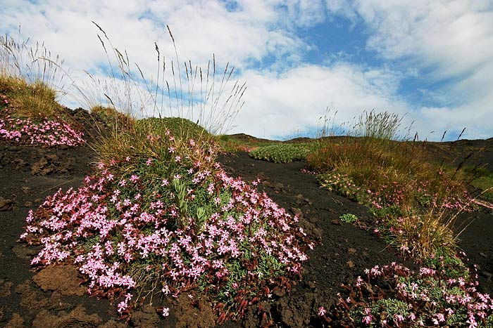 Etna - jih
